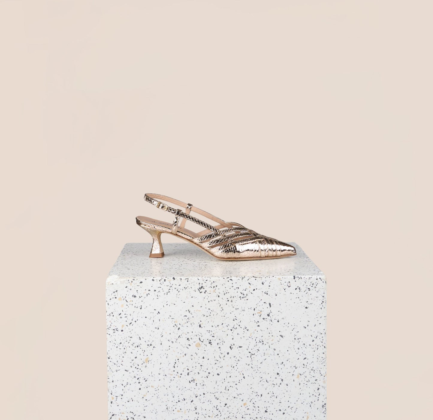 Novara - Gold Snake